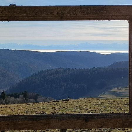 Sonnenstrahl Leilighet Todtmoos Eksteriør bilde
