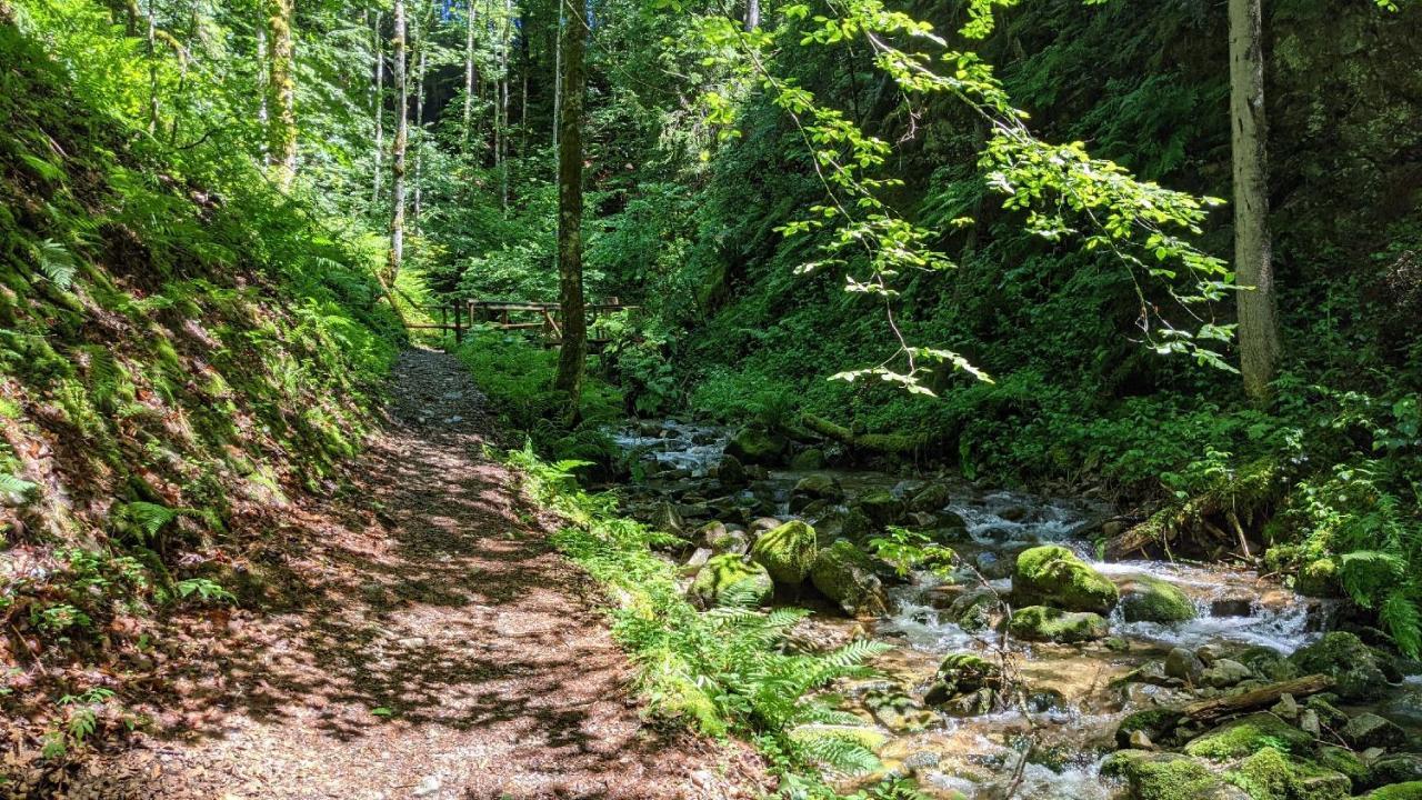 Sonnenstrahl Leilighet Todtmoos Eksteriør bilde