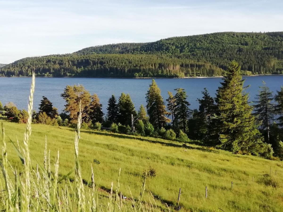 Sonnenstrahl Leilighet Todtmoos Eksteriør bilde
